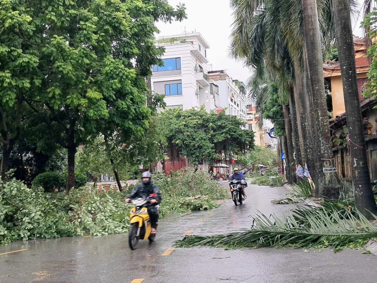 Hiện trường sau bão