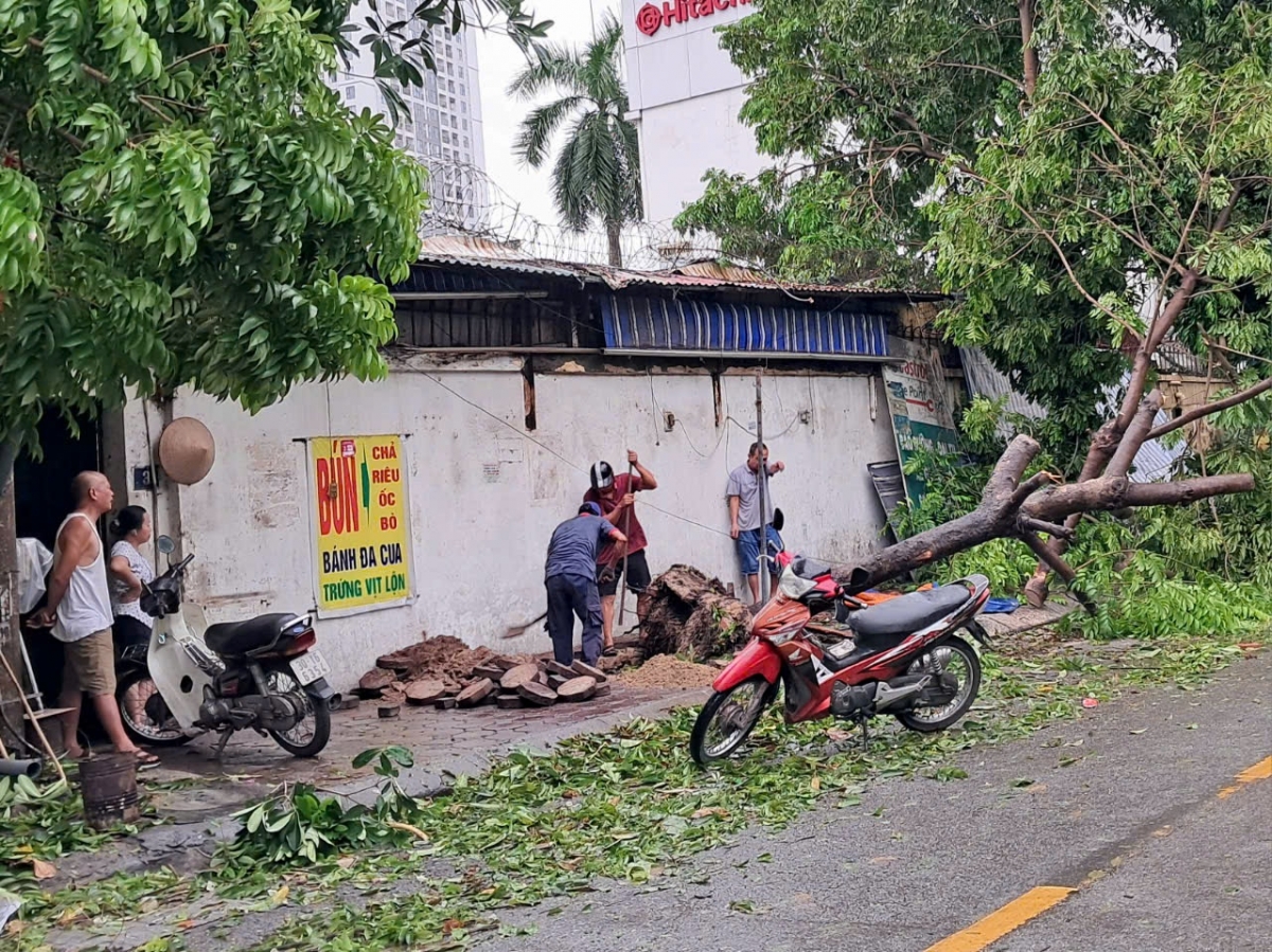 Hiện trường sau bão
