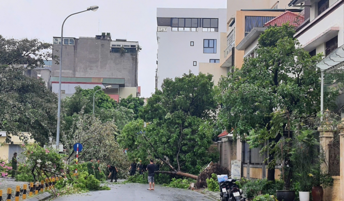 Bộ Y tế khuyến cáo phòng chống bệnh dịch và khắc phục hậu quả sau bão