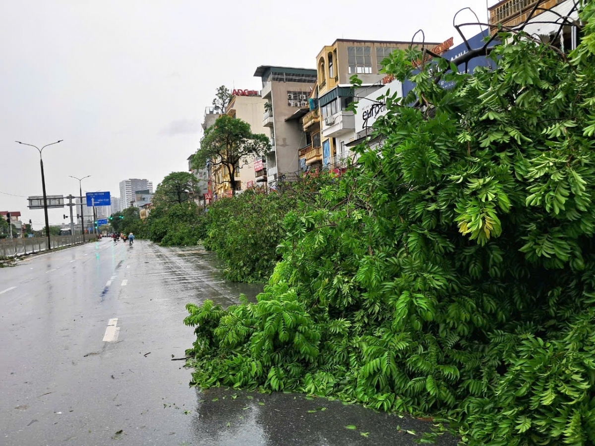 TP. Hồ Chí Minh: Hỗ trợ các địa phương phía Bắc khắc phục hậu quả cơn bão số 3