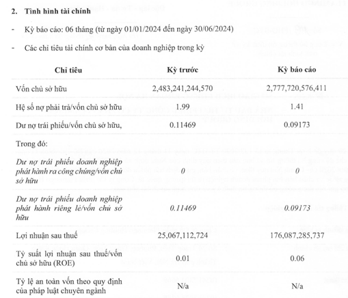 Kết quả kinh doanh 6 tháng đầu năm của Flamingo Holdings