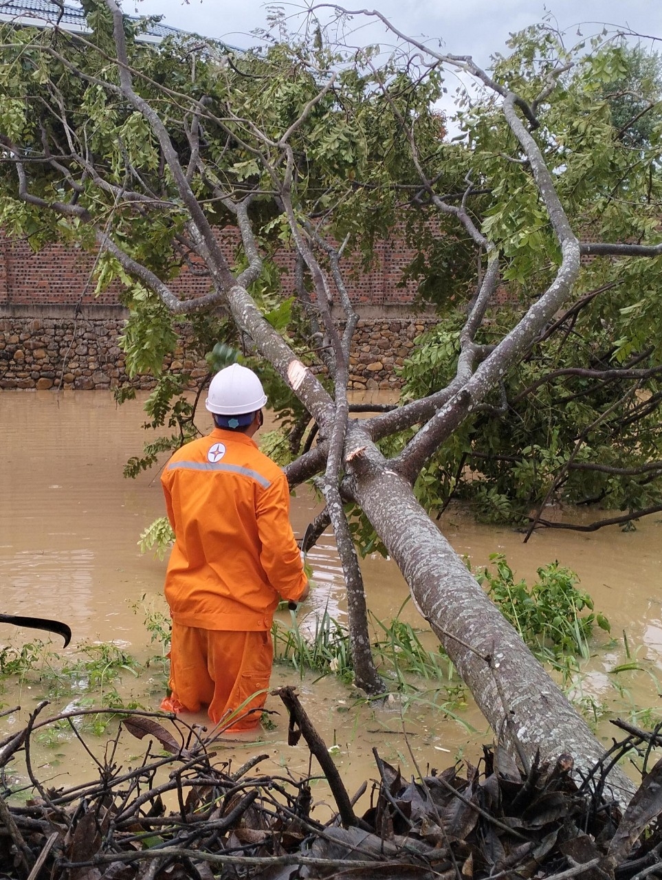 Nhiều địa phương được cấp điện trở lại trong ngày hôm nay