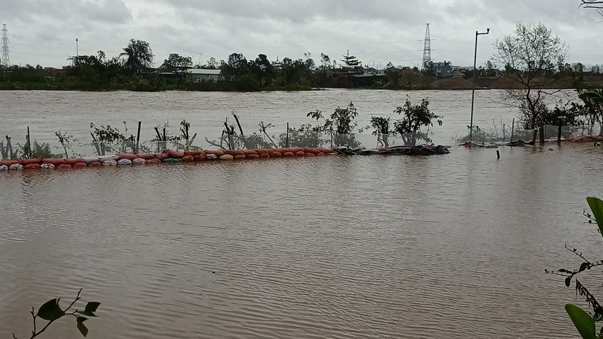 Hải Phòng: Huy động cả hệ thống chính trị vào cuộc phòng chống lũ, hộ đê