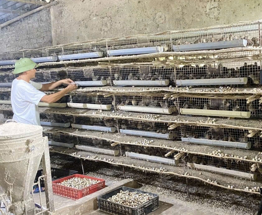 Chặng đường 70 năm xây dựng và phát triển