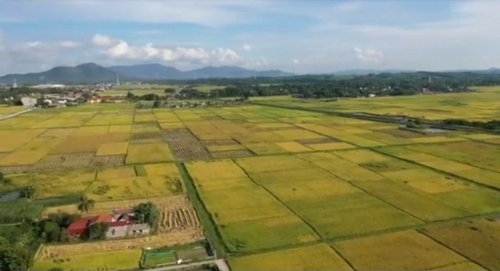 Chặng đường 70 năm xây dựng và phát triển