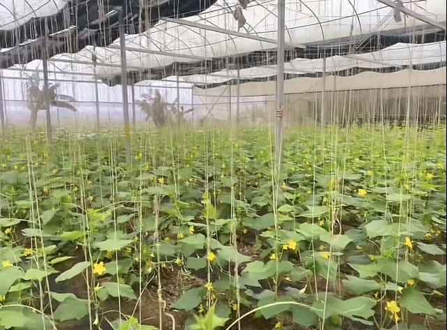 Chặng đường 70 năm xây dựng và phát triển