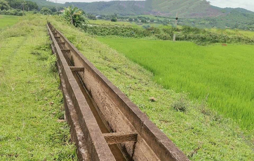 Các bị cáo đề nghị TAND Tối cao xem xét, kháng nghị các bản án sơ thẩm và phúc thẩm