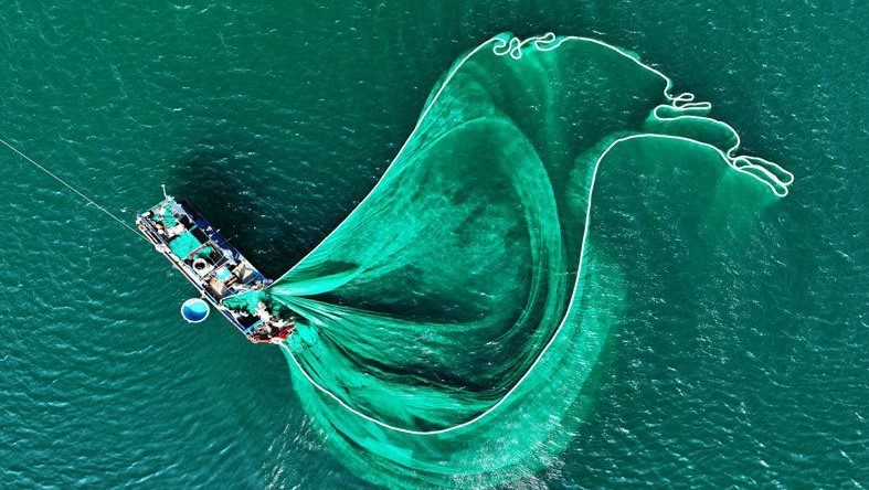 Phú Yên: Phát triển các ngành công nghiệp động lực và dịch vụ - đô thị, logistics