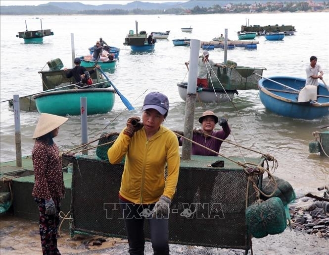 Thủ tướng chỉ đạo tập trung ứng phó áp thấp nhiệt đới có khả năng mạnh lên thành bão và mưa lũ