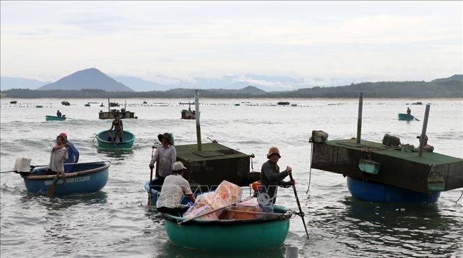 Thủ tướng chỉ đạo tập trung ứng phó áp thấp nhiệt đới có khả năng mạnh lên thành bão và mưa lũ