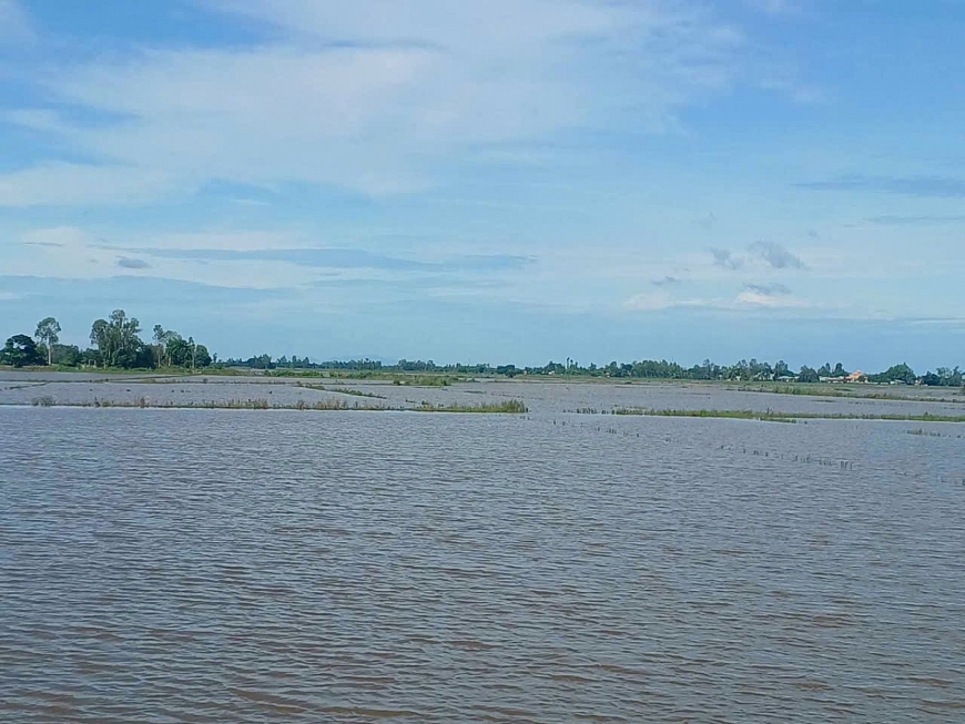 Mô hình sản xuất nông nghiệp độc đáo ở huyện Tam Nông