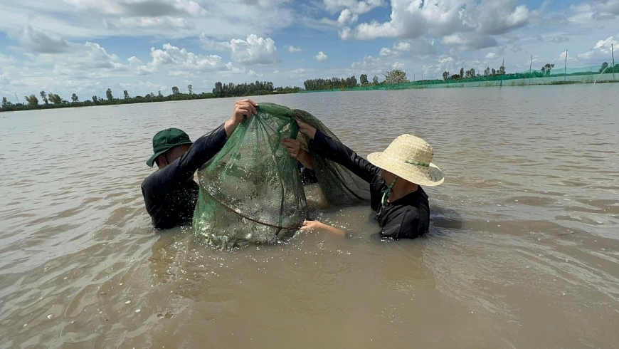 Mô hình sản xuất nông nghiệp độc đáo ở huyện Tam Nông