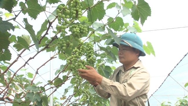 Hiệu quả từ Chương trình mục tiêu quốc gia giảm nghèo bền vững