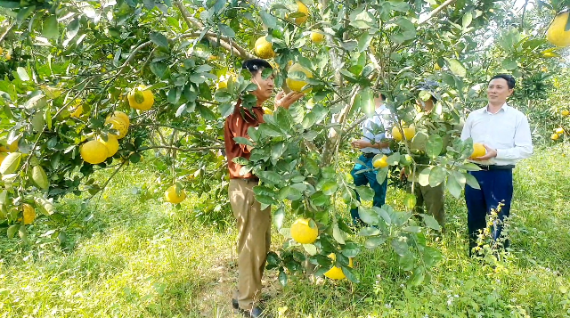 Hiệu quả từ Chương trình mục tiêu quốc gia giảm nghèo bền vững