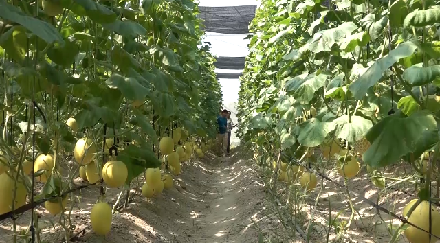 Hiệu quả từ Chương trình mục tiêu quốc gia giảm nghèo bền vững