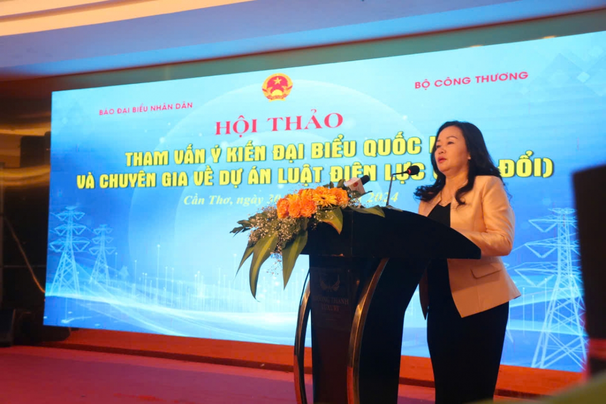 Tham vấn ý kiến ĐBQH và chuyên gia về dự thảo Luật Điện lực (sửa đổi)