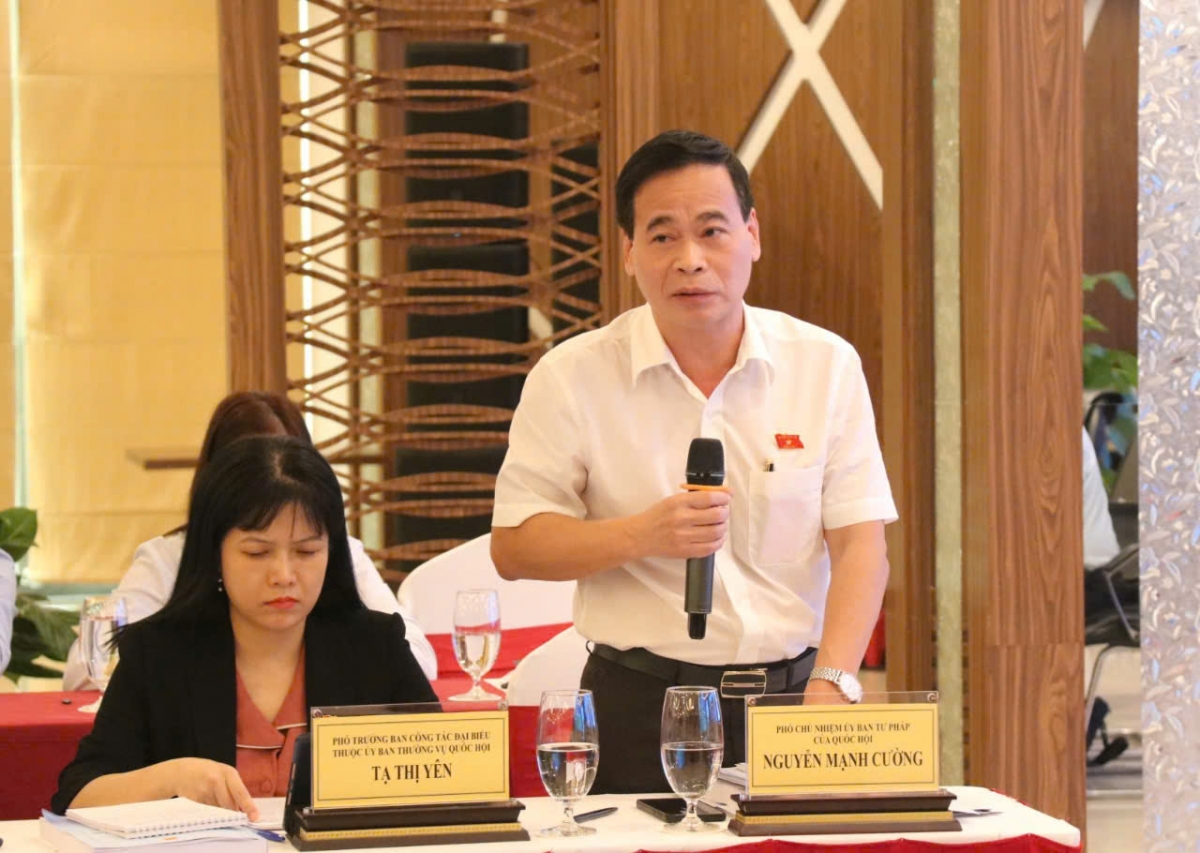 Tham vấn ý kiến ĐBQH và chuyên gia về dự thảo Luật Điện lực (sửa đổi)