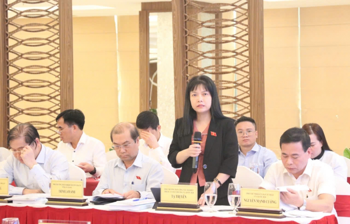 Tham vấn ý kiến ĐBQH và chuyên gia về dự thảo Luật Điện lực (sửa đổi)