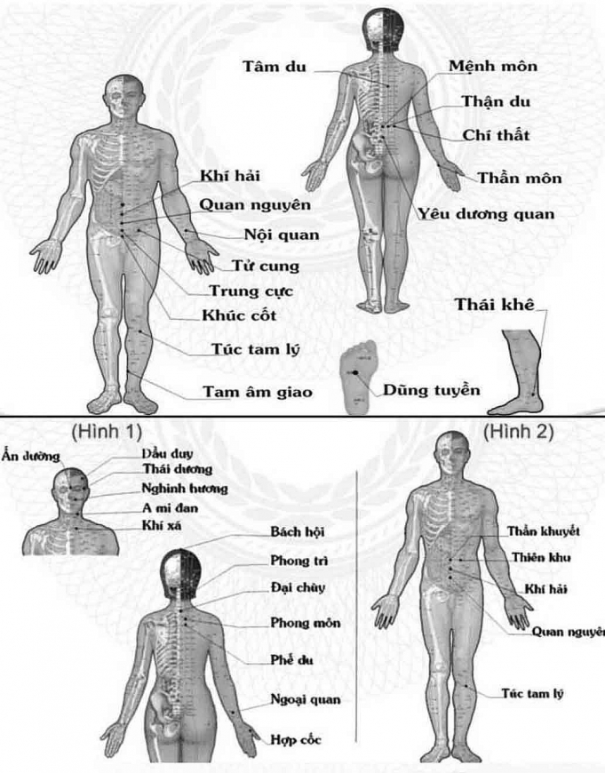 Thực phẩm và các huyệt đạo giúp dưỡng phế