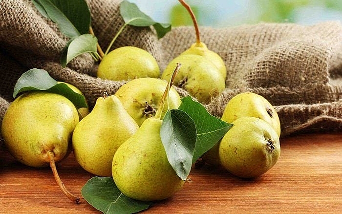 Thực phẩm và các huyệt đạo giúp dưỡng phế