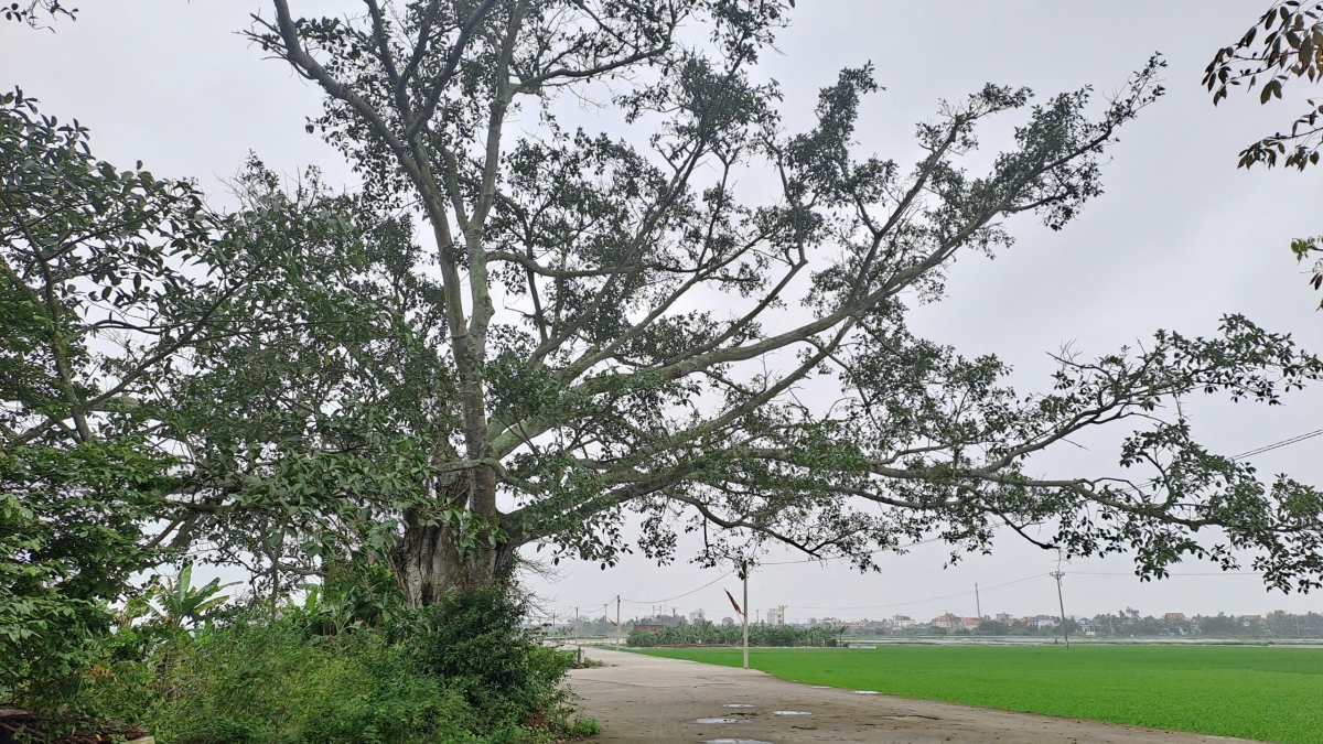 Lạ kỳ ngôi miếu cứ xây lên là bị sét đánh sập