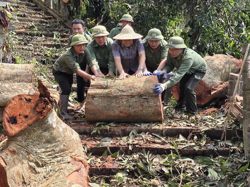 Cán bộ, viên chức và người lao động Ban Quản lý di tích và rừng Quốc gia Yên Tử tập trung khắc phục hậu quả sau bão.