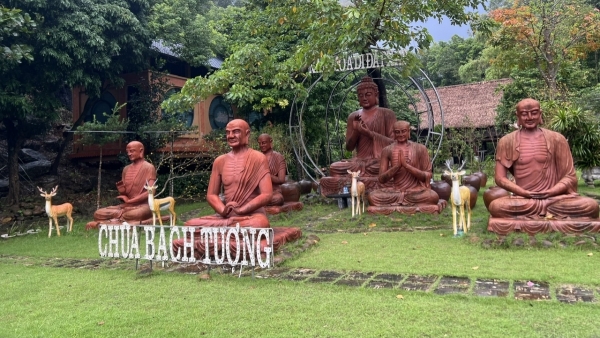 Cần xem xét việc thành lập Ban quản lí chùa Bạch Tượng