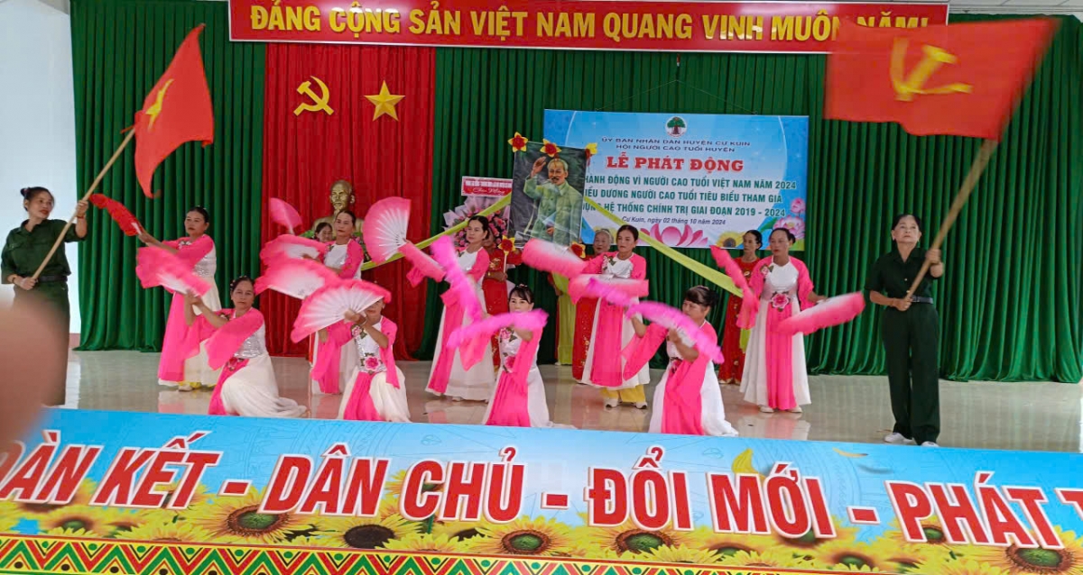 Quyết tâm thực hiện tốt Tháng hành động vì NCT Việt Nam năm 2024