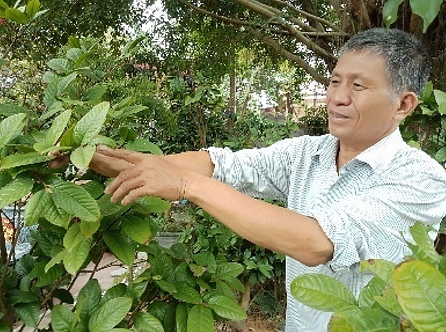 Bí thư Chi bộ Vũ Quang Hải.