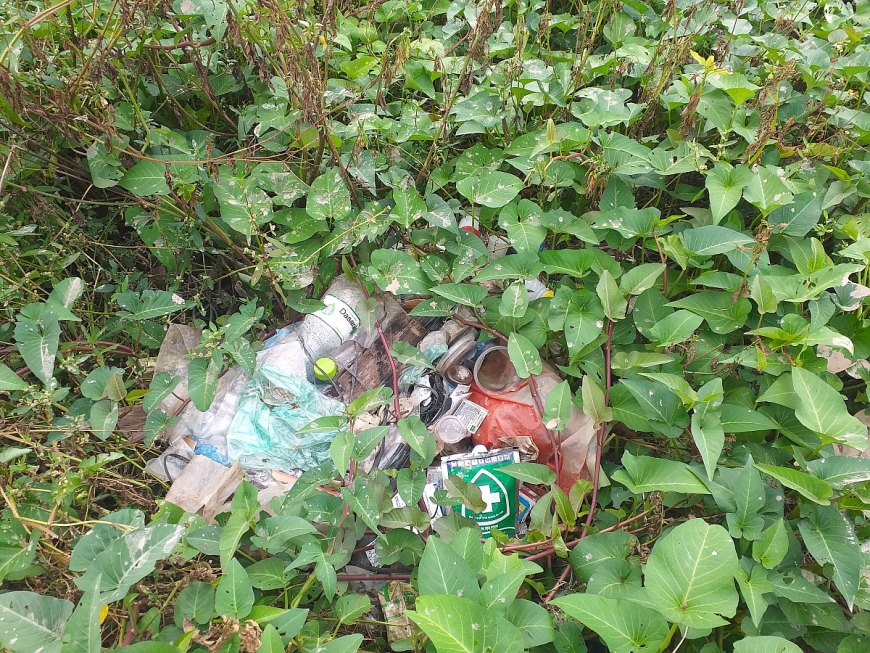 Chính vì vậy mà mô hình bể chứa rác và phong trào làm sạch đồng ruộng cần được quy hoạch và nhân rộng ở tất cả các địa phương...