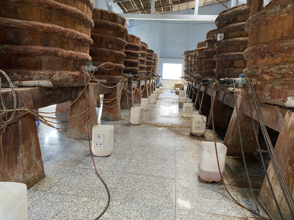 Vừa làm kinh tế giỏi, vừa nêu cao trách nhiệm xã hội