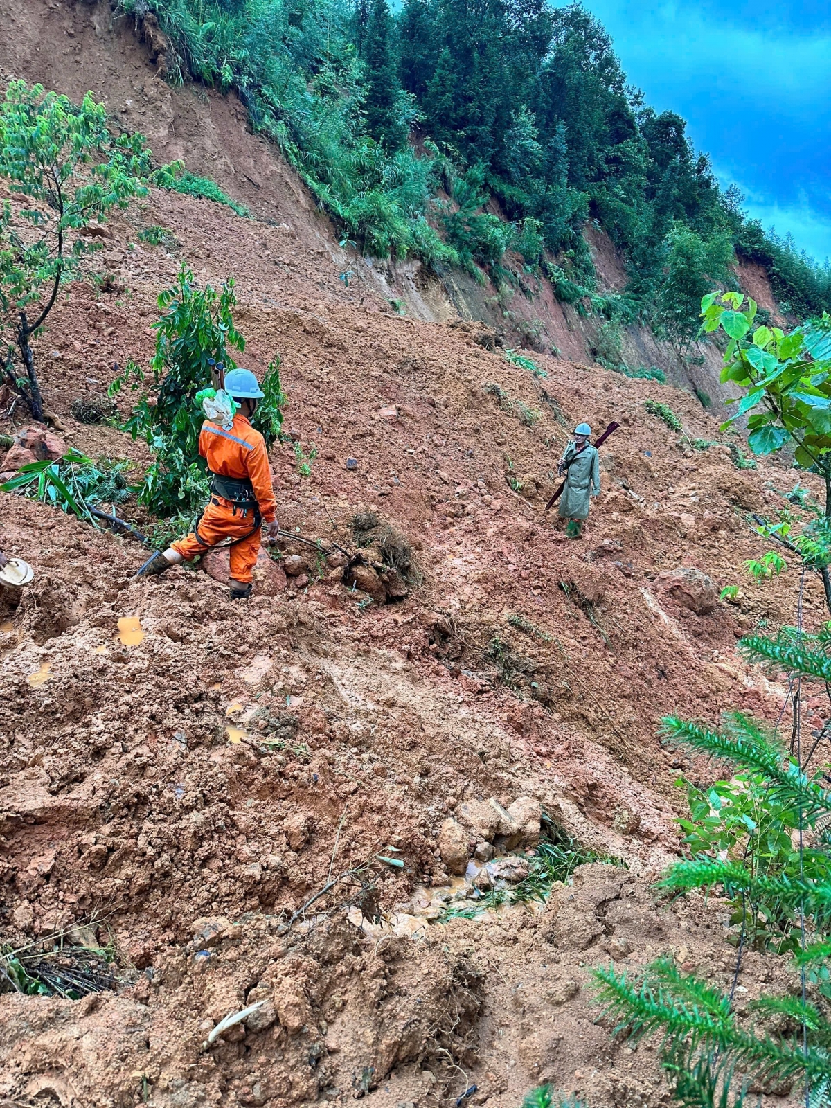 Tổng Công ty Điện lực miền Bắc: Để dòng điện luôn đi trước và rực sáng trên các địa bàn