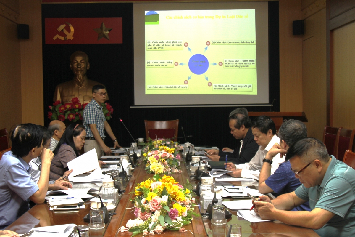 Đại diện Cục Dân số (Bộ Y tế) trình bày đề dẫn Hội thảo