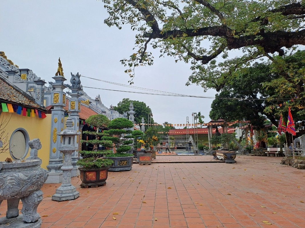 “Tận mục sở thị” ngôi đền linh thiêng có cây Gạo nhiều tuổi nhất Việt Nam