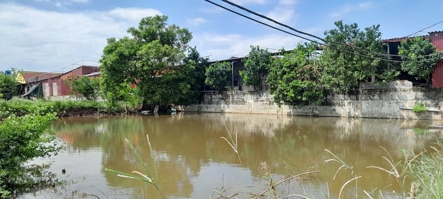 Ao cá bố mẹ là dự án thủy sản cho cá nhân đấu thầu sử dụng sai mục đích làm trại chăn nuôi