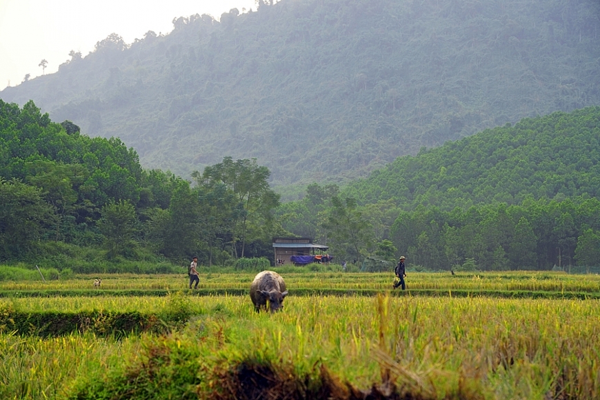 Heo hút bản nghèo