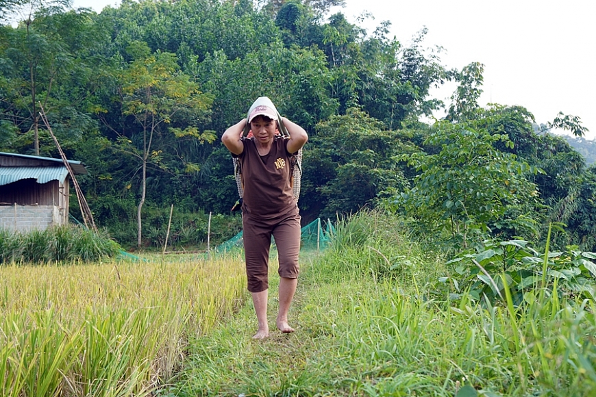 Heo hút bản nghèo