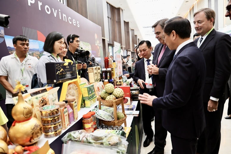 Việt Nam đóng góp tích cực hơn nữa cho sự phát triển xanh và bền vững