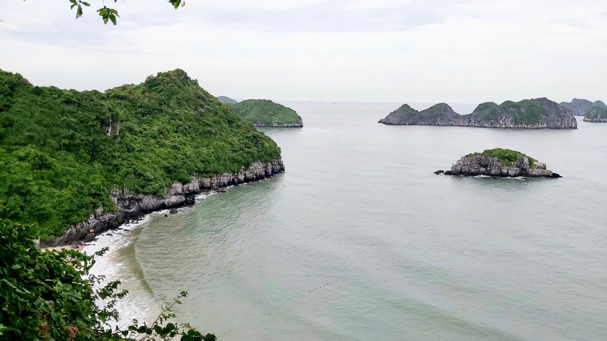 Hải Phòng thành lập Ban chỉ đạo quản lý Di sản vịnh Hạ Long - quần đảo Cát Bà