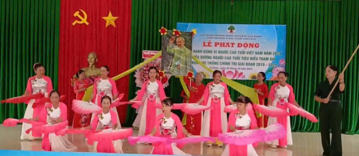 Tổ chức nhiều hoạt động thiết thực trong Tháng hành động vì NCT Việt Nam năm 2024