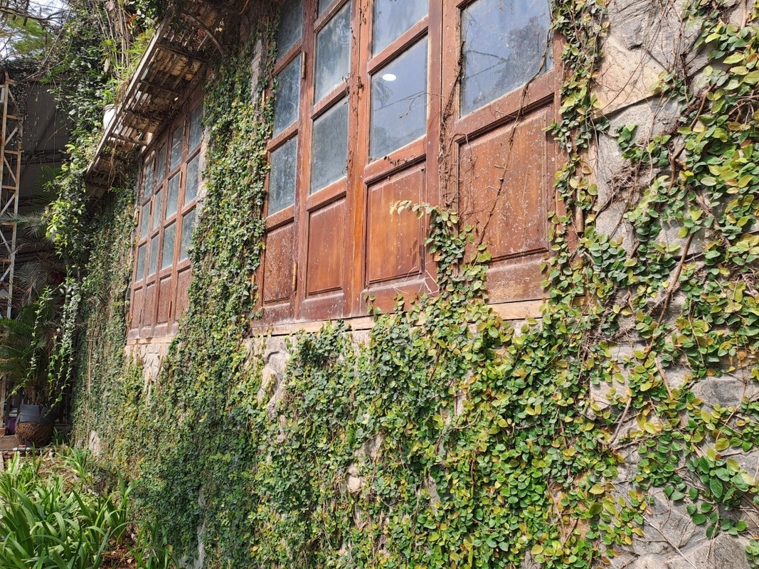 Khám phá nơi đầu tiên Phật giáo du nhập vào Việt Nam