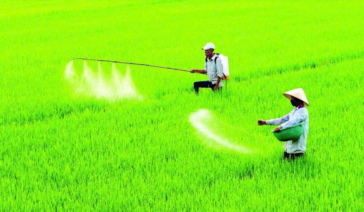 Đề xuất sửa Điều 15 trong dự án sửa đổi Luật Thuế GTGT