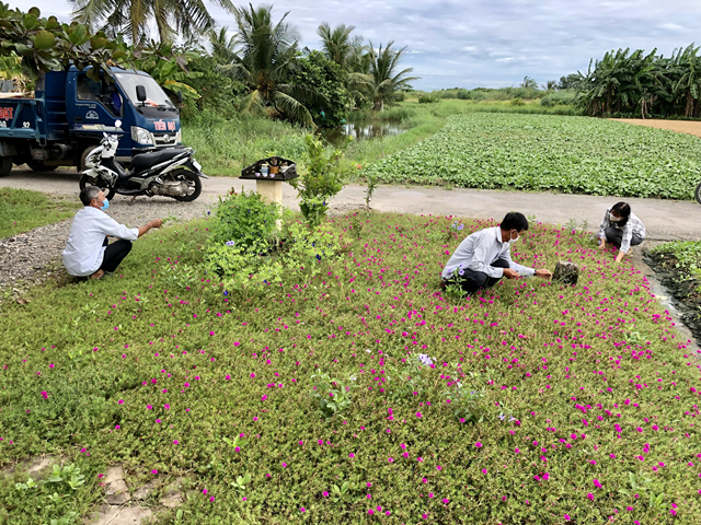 Hội NCT xã Vĩnh Trạch Đông, TP Bạc Liêu tham gia xây dựng xã nông thôn mới kiểu mẫu. 