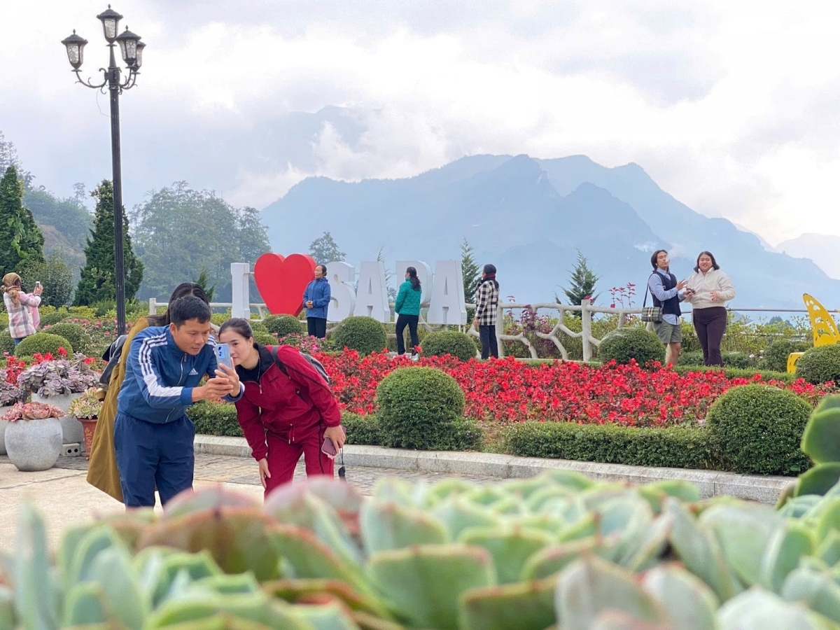 Fansipan rực rỡ sắc màu lễ hội hoa sen đá, giá vé cáp treo chỉ còn 550.000 đồng