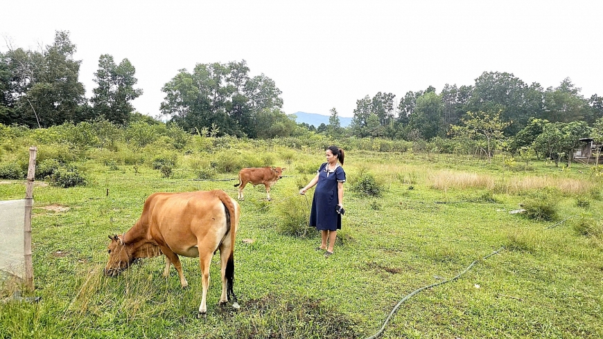Được hỗ trợ tiền mua bò giống, gia đình chị Nguyễn Thị Nhung đã gây đàn thành công, cuộc sống dần ổn định.