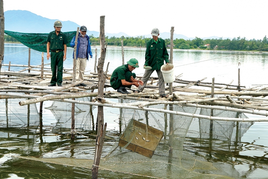 Mô hình nuôi trồng thủy sản cựu chiến binh Huỳnh Lành, ở xã Vinh An.