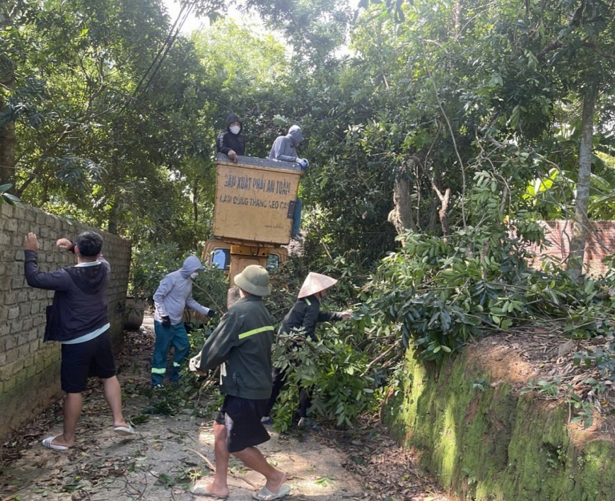 Nhân dân  Khu Kim Lăng, quyên góp kinh phí thuê người cắt  tỉa cành cây chống bão YAGI.