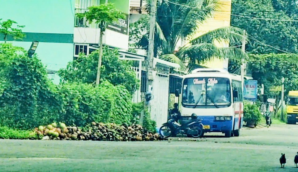 -Xe khách chở NCT đến Khu đô thị Nam Cần Thơ tham quan nuôi trồng đông trùng hạ thảo sáng 17/10/2024