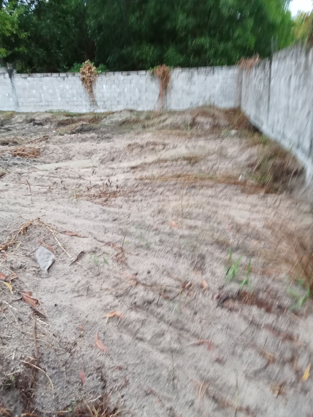 Người cao tuổi yêu cầu xử lí việc lấn chiếm, gây thiệt hại tài sản trên đất có quyền sử dụng hợp pháp​​​​​​​