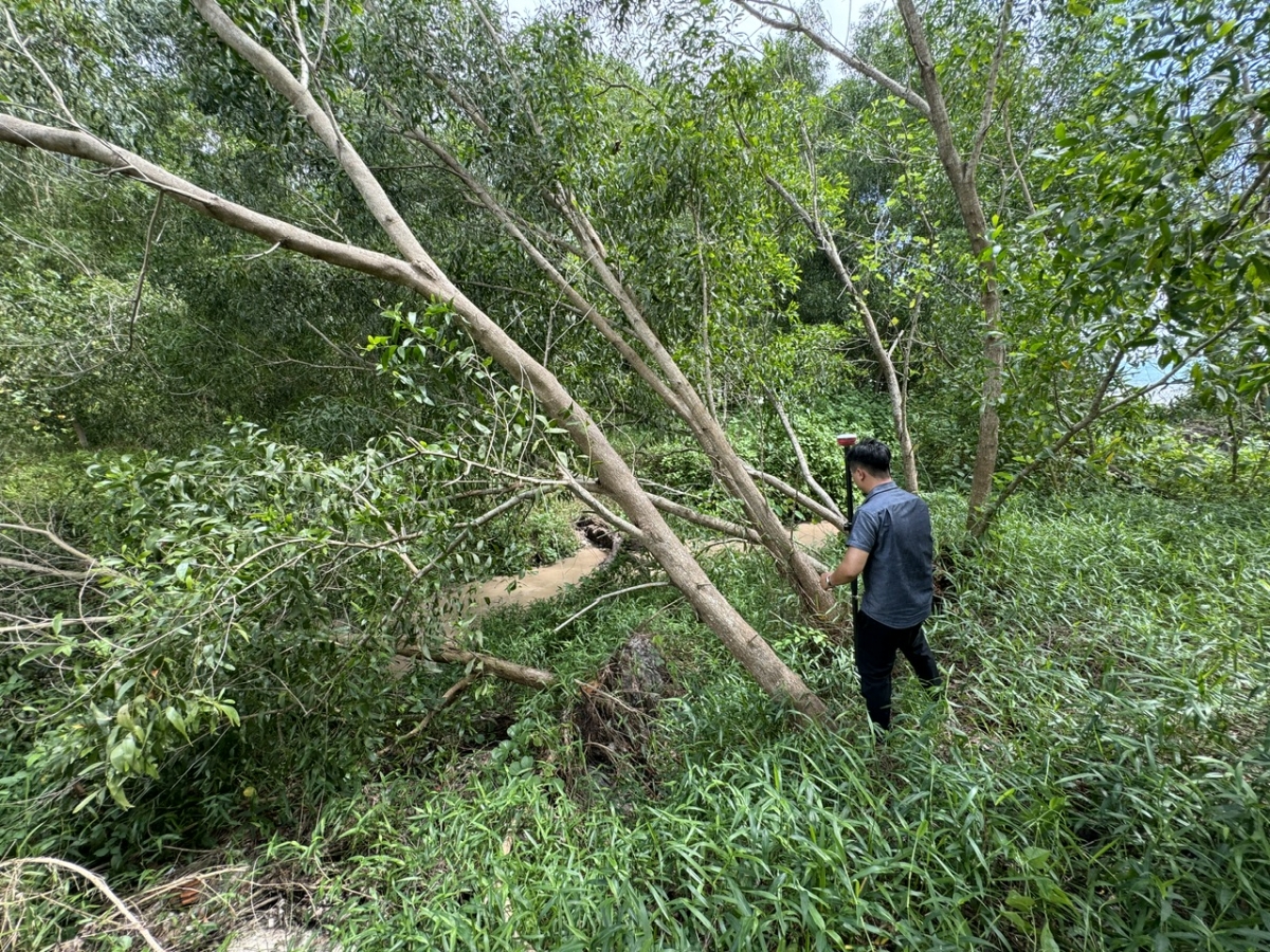 Người cao tuổi yêu cầu xử lí việc lấn chiếm, gây thiệt hại tài sản trên đất có quyền sử dụng hợp pháp​​​​​​​
